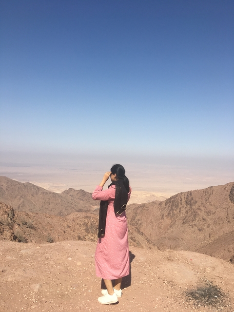 Person standing with a vast desert landscape in the background.