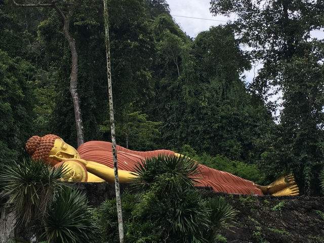 Reclining Buddha statue surrounded by lush greenery.