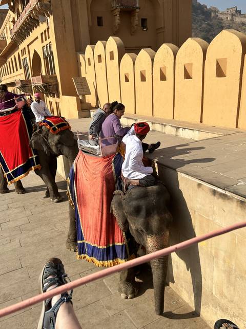 Elephant ride at a historic fort.