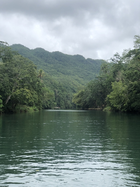       Serene view of a river surrounded by lush green trees.
  