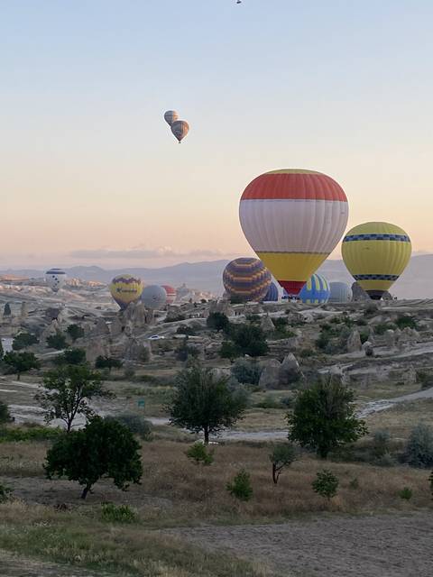       Hot air balloons floating over a rocky landscape
  