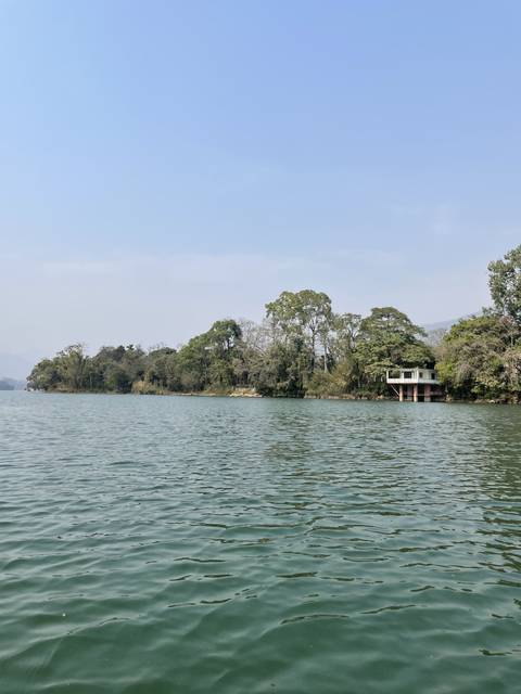       Water view with greenery on the shore.
  