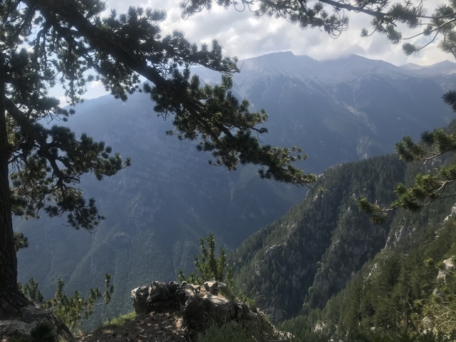 View of mountains and trees.