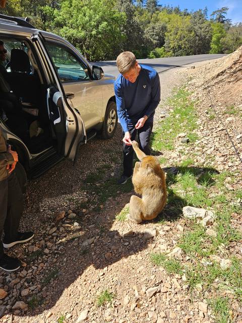 Person interacting with a monkey near a car.