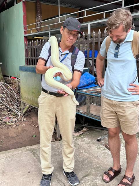       Person holding a large albino snake with another person partially visible.
  