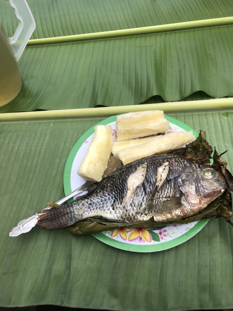       Grilled fish and plantains served on a plate.
  