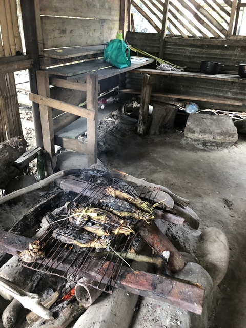       Outdoor cooking area with fish grilling over coals.
  