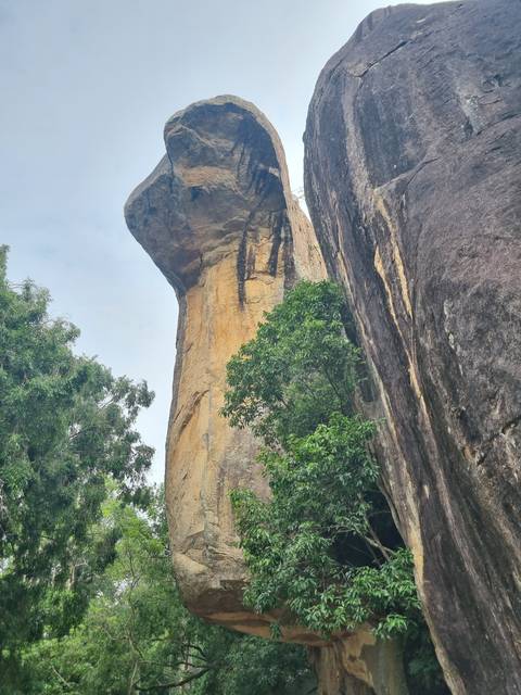 Large rock formation with trees growing on it.
