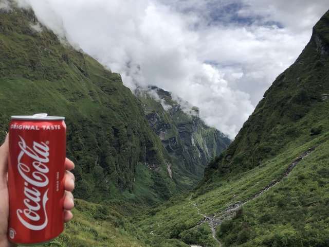 Green valley landscape with a person holding a soft drink can in the foreground.
