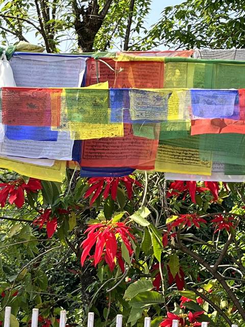       Colorful prayer flags with leaves and flowers.
  