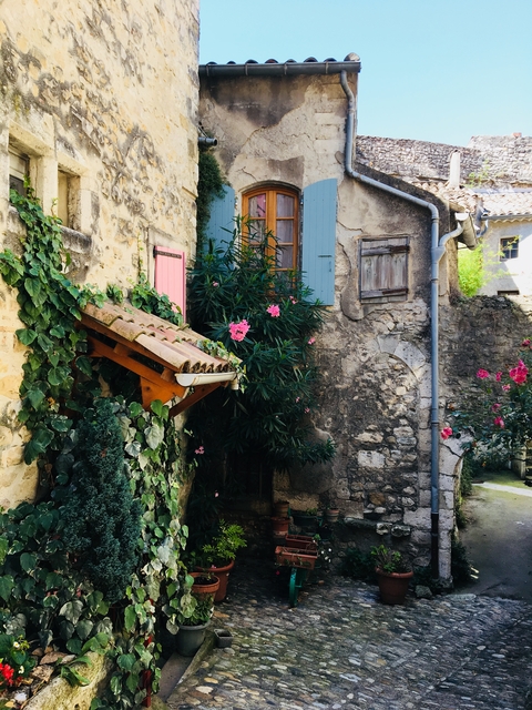 Charming alley with flowers and ivy-covered walls.