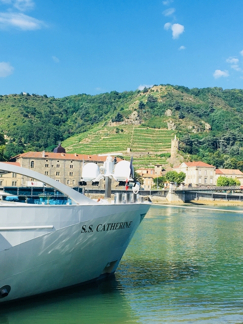       Cruise ship docked with a vineyard in the background.
  