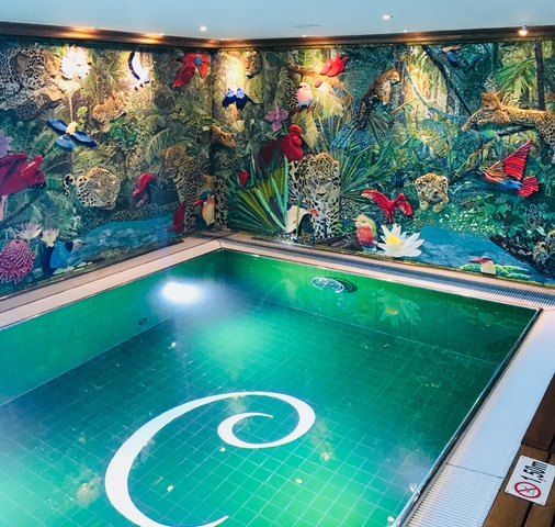Indoor pool with vivid mural of birds and jungle.
