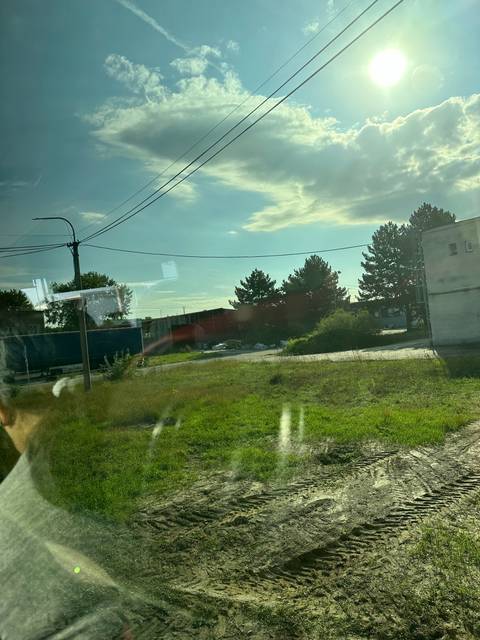 Grassy field with power lines and sun in the sky.