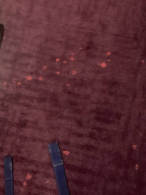A maroon carpet with stains and a blue strap on it.