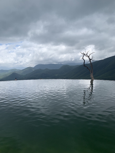 Infinity pool with a view of mountains and a lone tree.