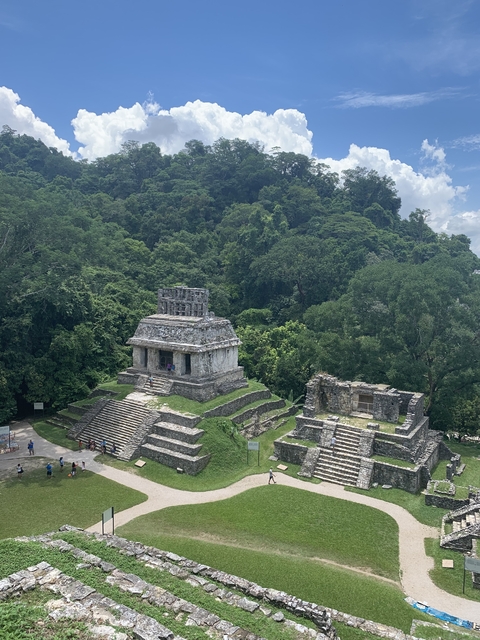 Ancient stone structures in a jungle setting.