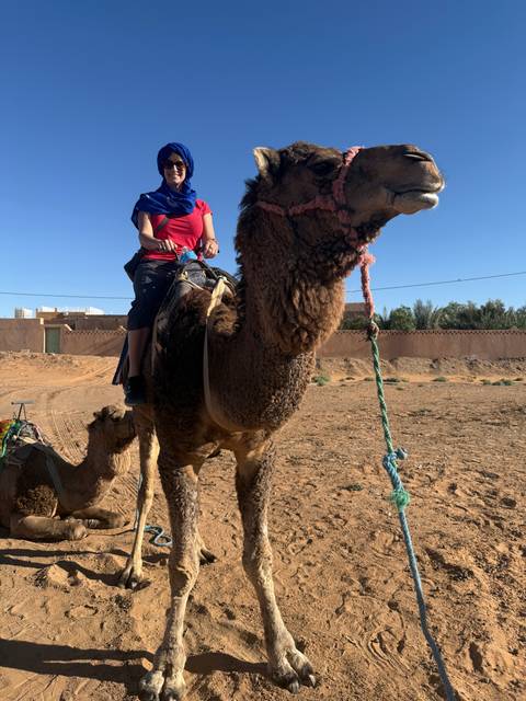 Person on a camel in a sandy area.