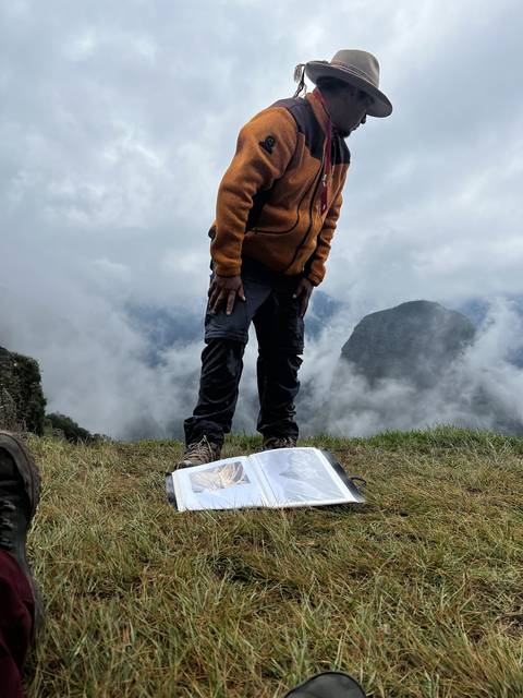 Person standing on grass with mountains in the background.
