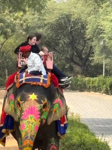       Group riding a decorated elephant.
  
