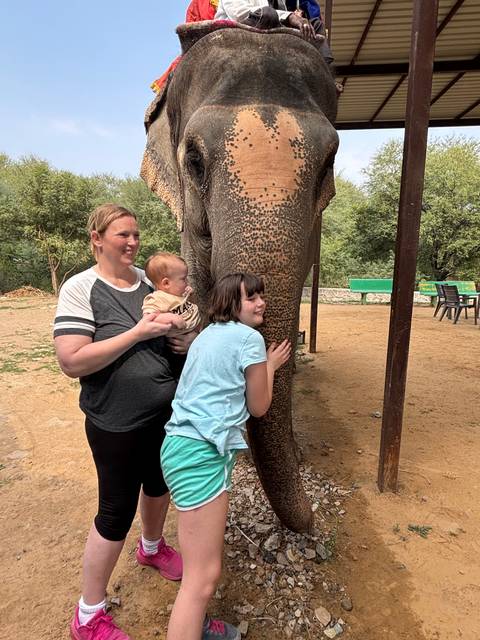       People interacting with an elephant.
  