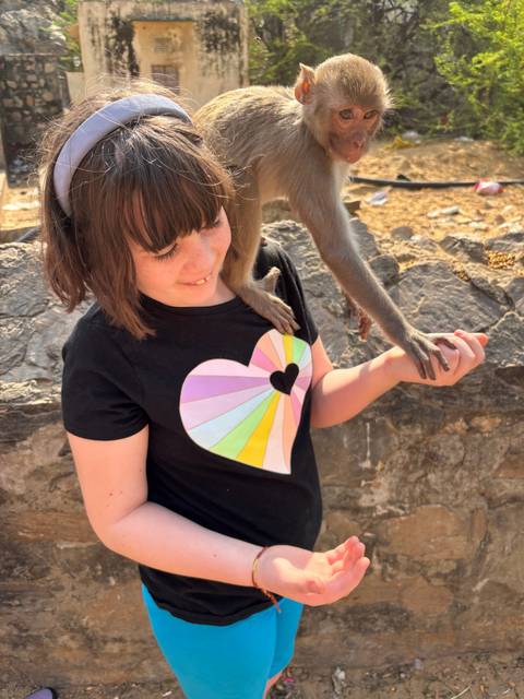       Child playing with a monkey.
  