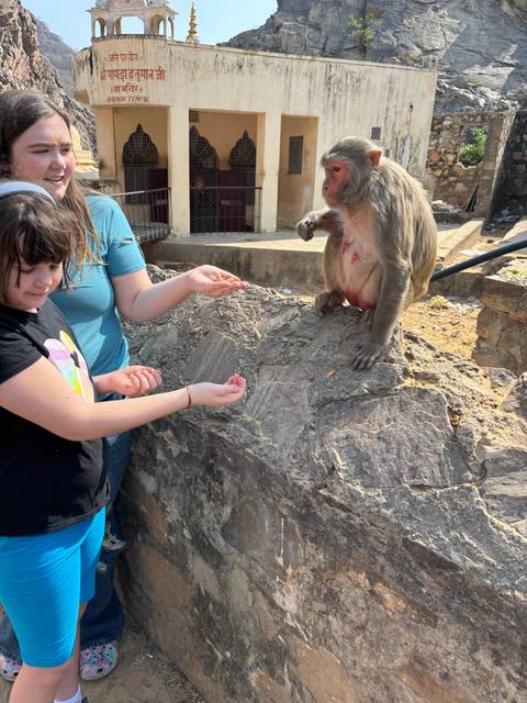 Child interacting with a monkey on a rock.