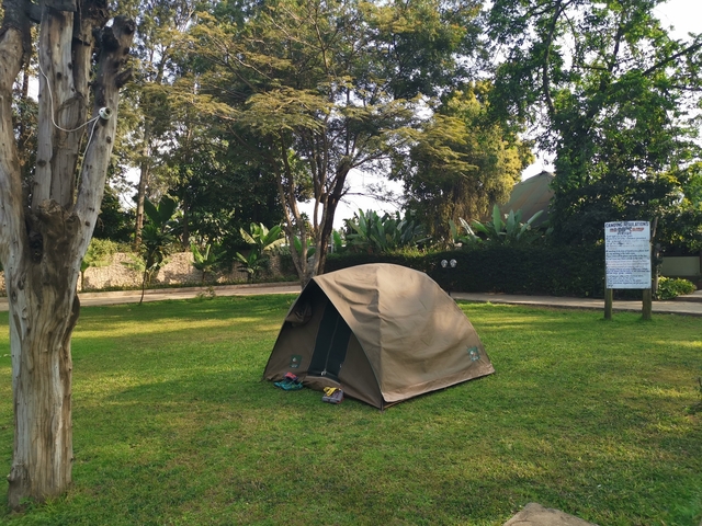 A solitary tent pitched in a garden area.