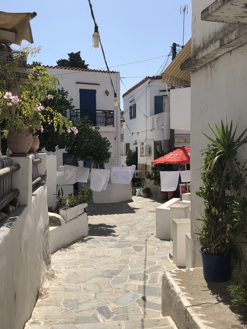 Charming alley with plants and whitewashed buildings under a clear sky.
