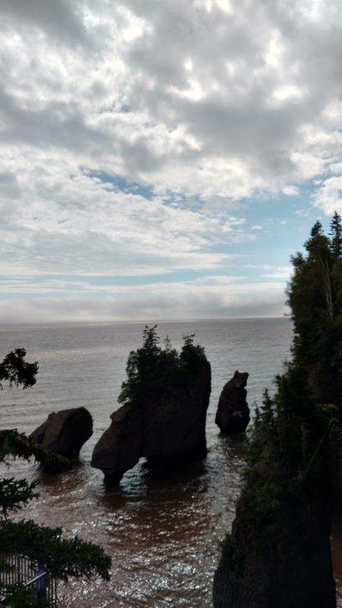       Blurry view of a coastal area with trees and water.
  