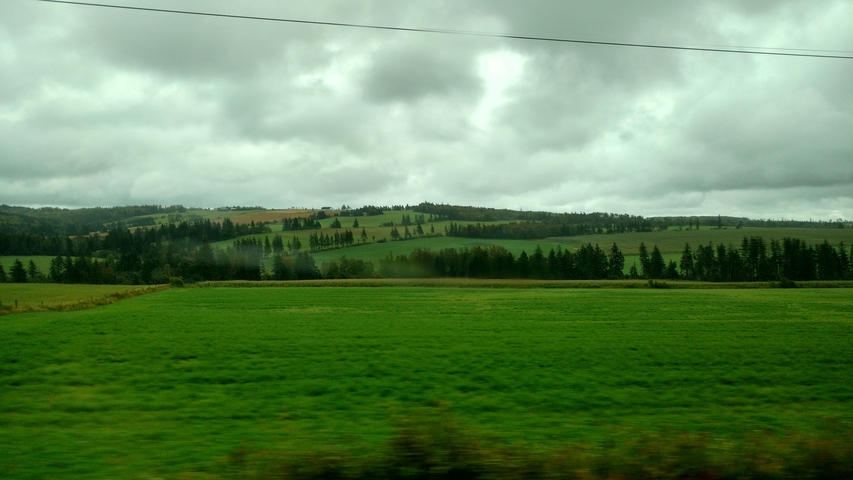       Fields with a forested backdrop and cloudy skies.
  