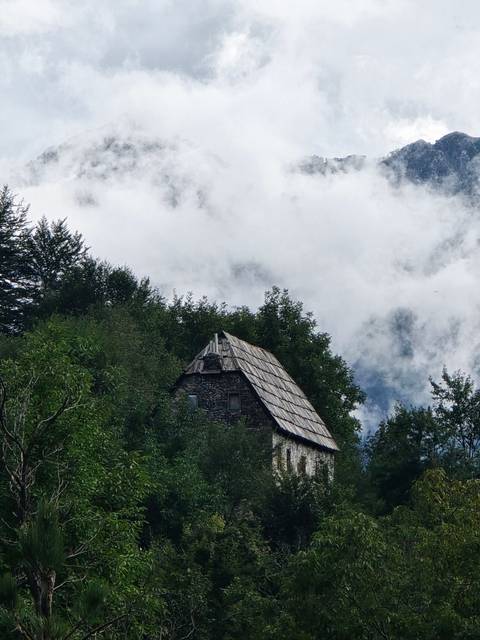 A lone house surrounded by dense forest and mist.