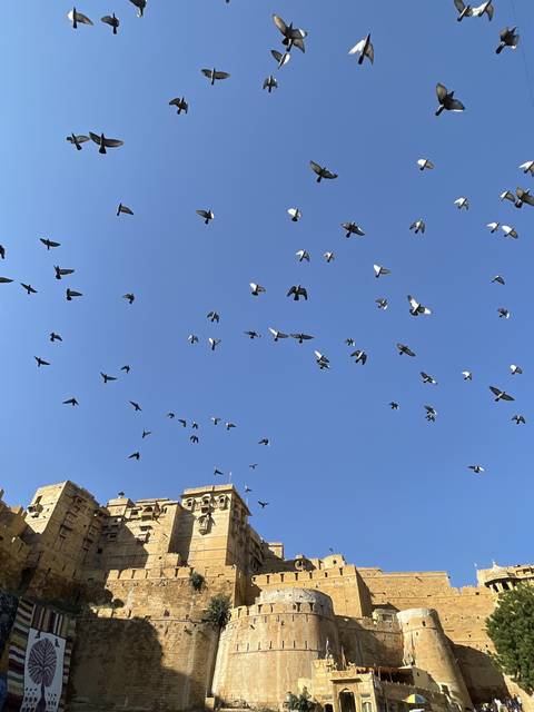       Flock of birds flying above a fort with clear blue sky.
  