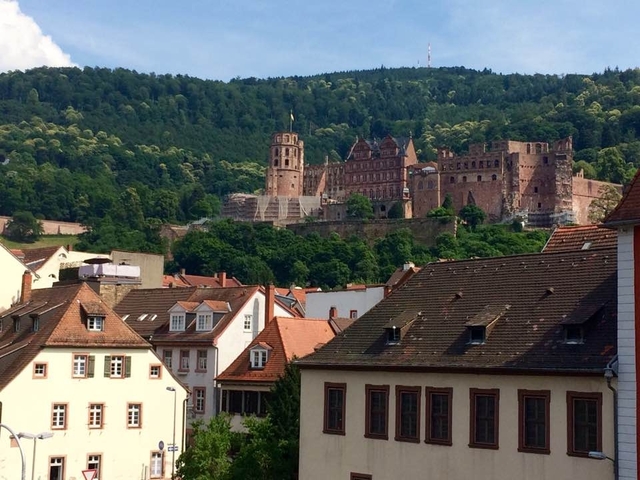 Schlösser am Rhein (von Basel bis Amsterdam) Foto von Kundenbewertung 