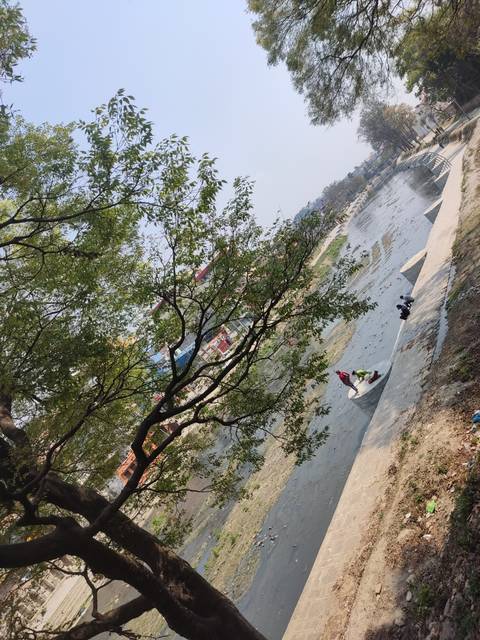       A river view with trees and a cobblestone walkway.
  