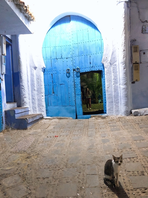       Person by a large blue door in a street.
  