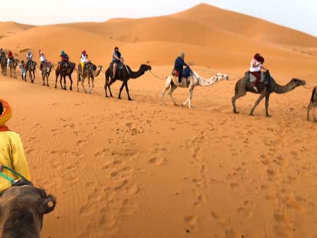 Camel caravan in the desert.
