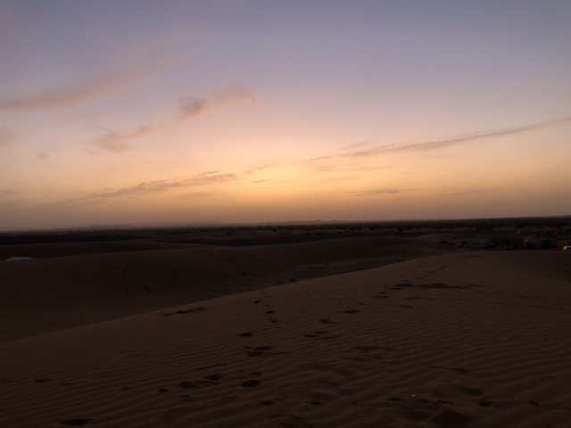       Twilight view of desert landscape.
  