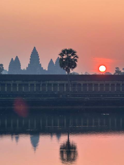 A palm tree and sunset reflected on water.