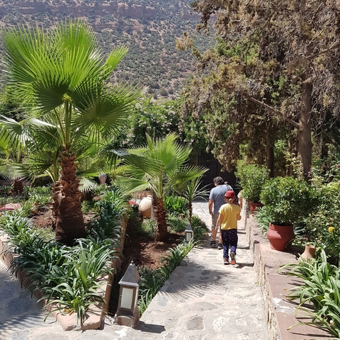 Two people walking through a lush garden.