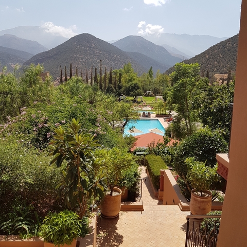 View of a swimming pool surrounded by greenery and mountains.