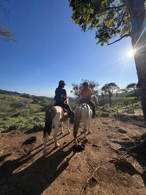 People on horseback riding along a dirt path with a scenic view.