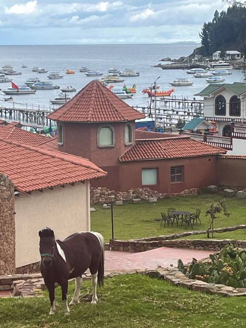       Horse near water with boats and buildings
  