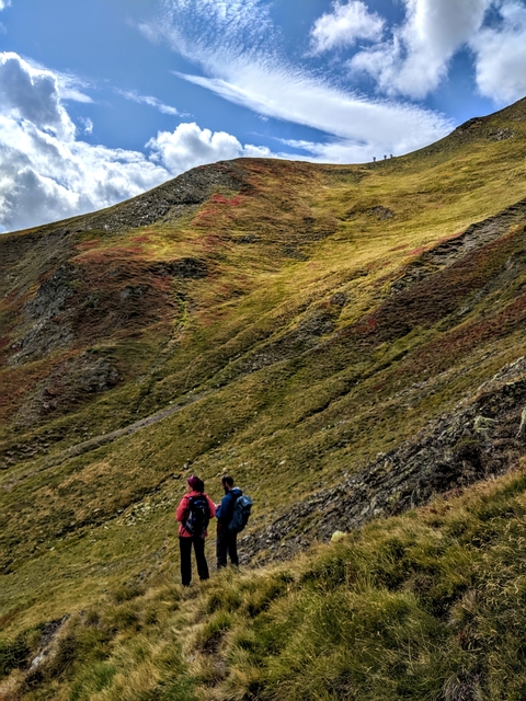       Hikers on a grassy hillside with colorful patches.
  