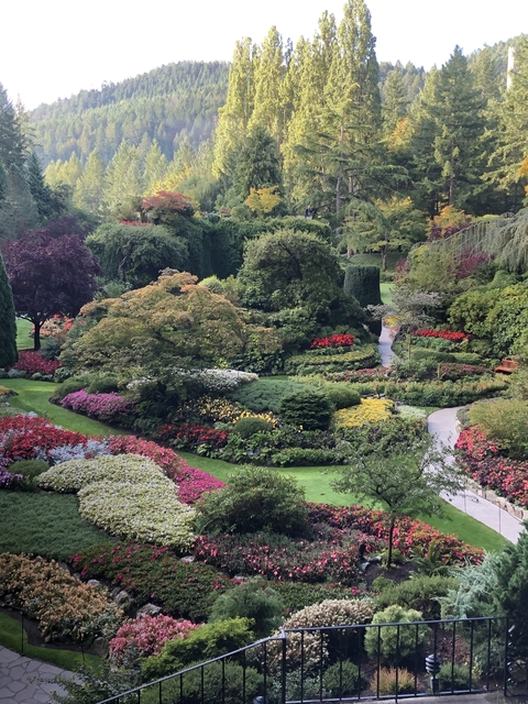 Colorful, manicured garden with winding pathways.