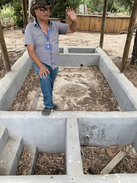       Man standing near an archaeological site with stone structures.
  