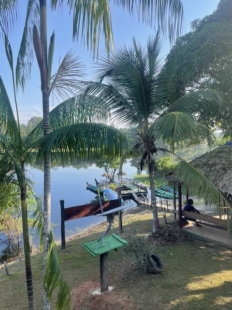       Lake view with palm trees and an upside-down playground.
  