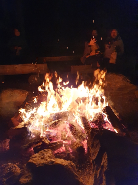 Campfire with logs burning brightly.