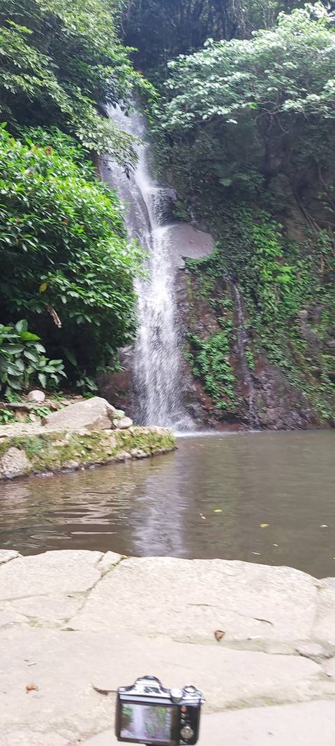 Waterfall cascading into a pool in a forested area.
