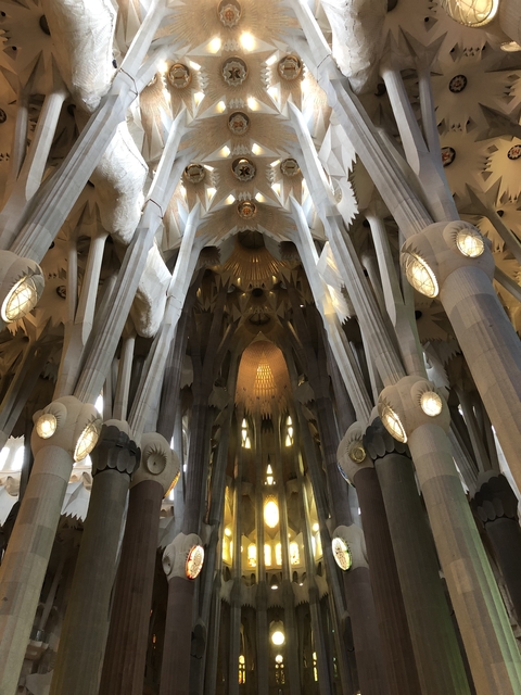       Interior of a grand modern cathedral with unique architecture.
  